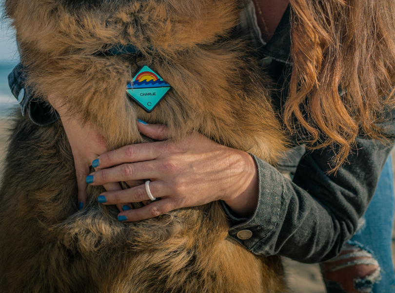 tracker tag for dogs