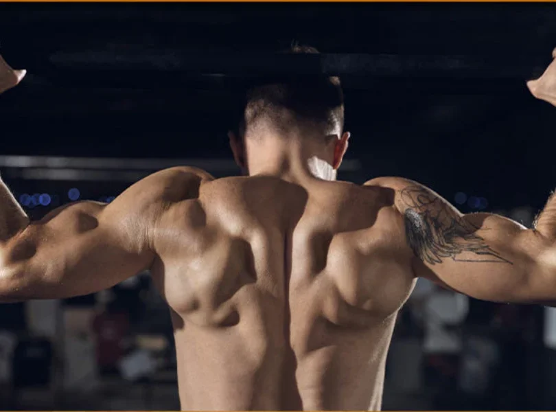 whey protein for muscles recovery