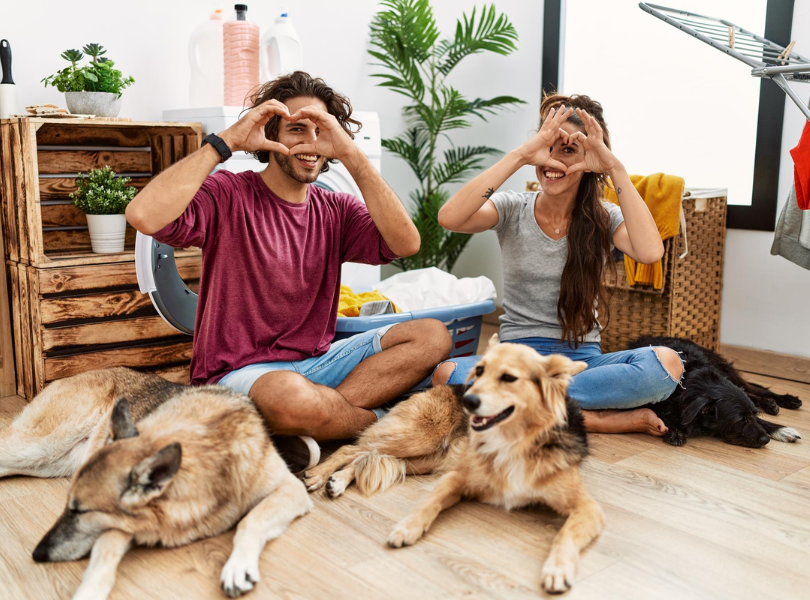 Home & Roost UK Review: Best Pet Homes to Buy