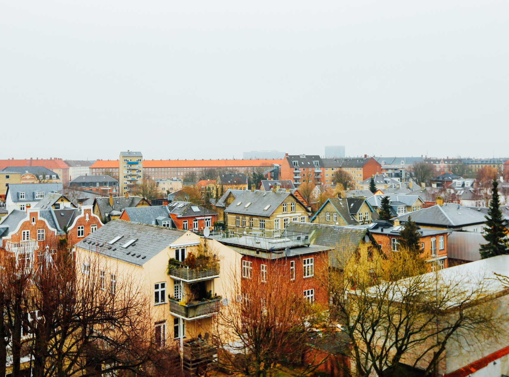 myoovi-cover-(1).jpg