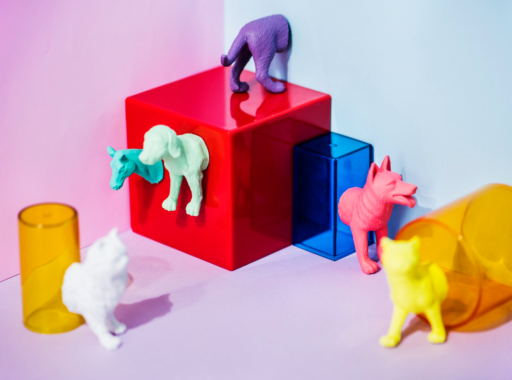 Joyreal Toys Top Picks for Creative Play
